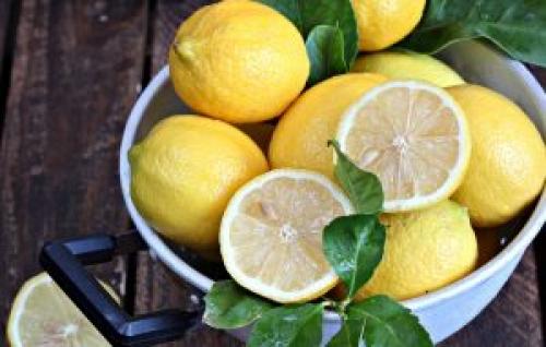 Вредно ли есть лимон. Польза лимонов для организма или тройной удар по болезнетворным микробам