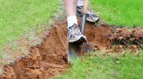Глинистая почва на участке, что делать. Глинистая почва на участке: как ее определить и улучшить?