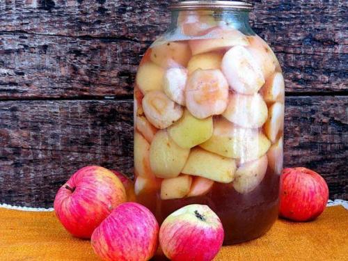 Компот из яблок и гвоздики на зиму. Лучшие рецепты яблочного компота с пряностями на зиму