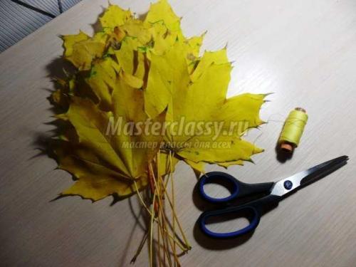 Как обработать листья перед тем, как начать собирать розу