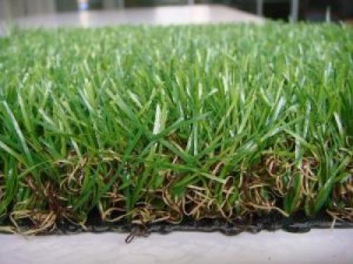 Какие факторы необходимо учитывать при выборе газонной смеси с цветами