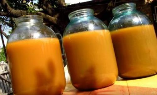 Яблочный сидр без дрожжей. Сидр. Что это за напиток? 05