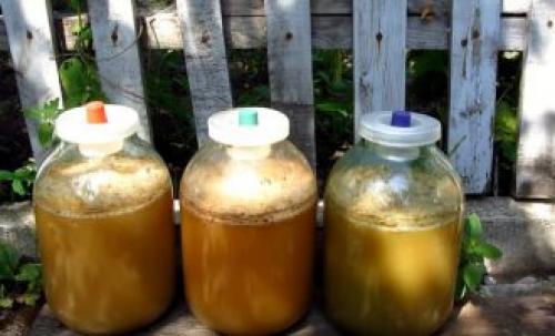 Яблочный сидр без дрожжей. Сидр. Что это за напиток? 06