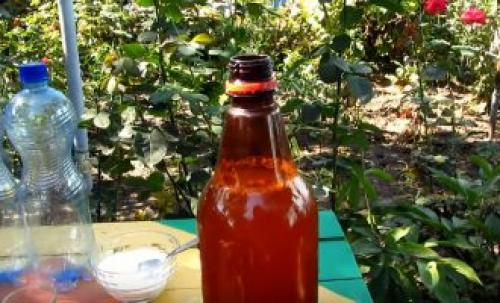 Яблочный сидр без дрожжей. Сидр. Что это за напиток? 08