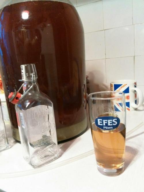 Как сделать сидр газированным. Как приготовить домашний сидр. Пособие для чайников