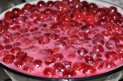 Можно ли есть варенье 5 летней давности. Возможно ли отравление вишневым вареньем и как обезопасить себя от этого?