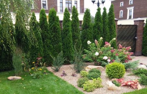 Посадка хвойных осенью. Поселите хвойники в саду – посадка туи, сосны, пихты, можжевельника осенью