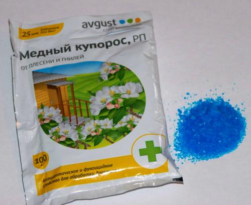 Какие растения лучше всего подходят для голубого опрыскивания. Весна: голубое опрыскивание сада