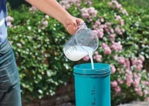 Полная схема обработок сада на весь год: пошаговое руководство для идеального урожая 06 Полная схема обработок сада на весь год: пошаговое руководство для идеального урожая 06