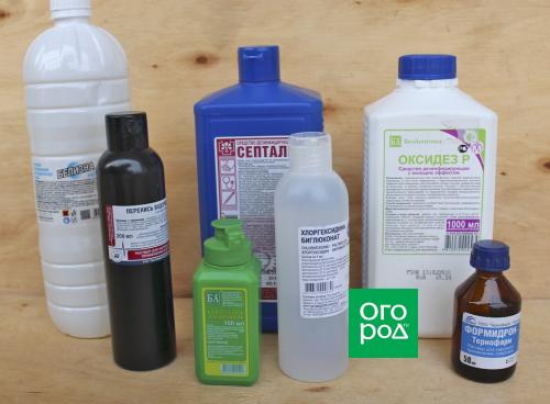 Весенние работы на участке: как подготовить сад к новому сезону 03 Весенние работы на участке: как подготовить сад к новому сезону 03