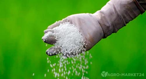 Весенняя обработка деревьев: 4 ключевых этапа для вашего сада 02