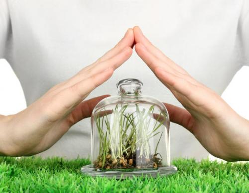 Какие основные методы защиты растений от вредителей и болезней существуют. Какие бывают средства для защиты растений от болезней и вредителей