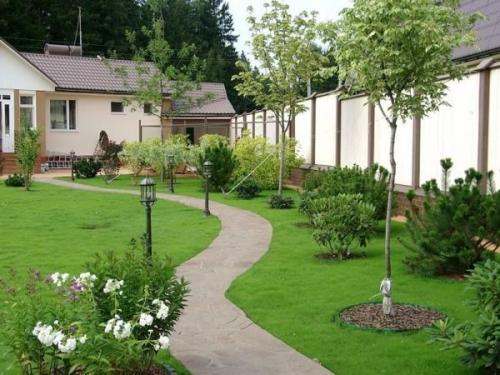 Совместимость хвойных и плодовых деревьев. Совместимость хвойных и плодовых в саду