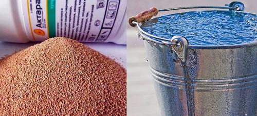 Через сколько дней можно есть огурцы после обработки актарой. Актара для огурцов