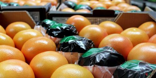 Как хранить грейпфрут в домашних условиях. Как и где правильно хранить грейпфрут?
