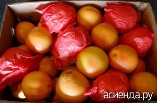 Сколько можно хранить грейпфрут. Как правильно хранить грейпфруты