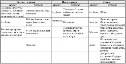После, каких культур можно сажать малину. Что можно сажать после малины: хорошие последователи и предшественники в огороде