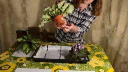 Капиллярный мат своими руками. Капиллярные маты для фиалок