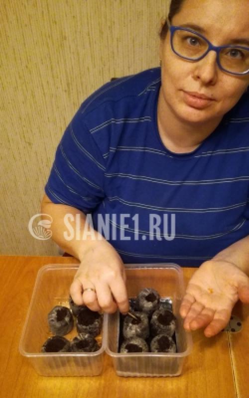 Что такое капиллярный мат для растений. Что это такое, принцип действия 03