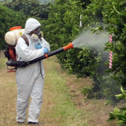 Календарь обработки сада от вредителей и болезней. Обработка сада от болезней и вредителей