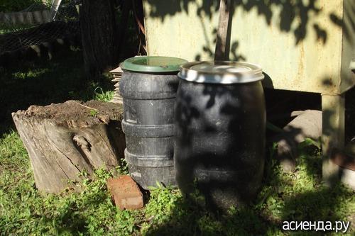 Можно ли использовать 500 г на ведро воды для всех видов растений. Как долго может стоять удобрение из травы