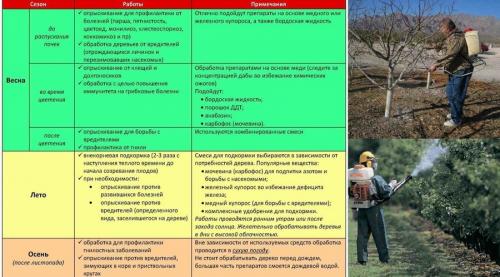 Весенняя обработка сада от болезней и вредителей. Обработка смородины и крыжовника весной 03