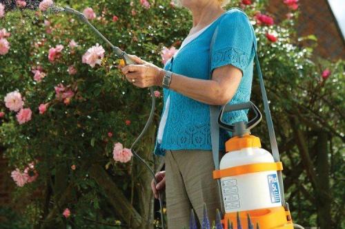 Весенняя обработка сада медным купоросом. Медный купорос от грибка