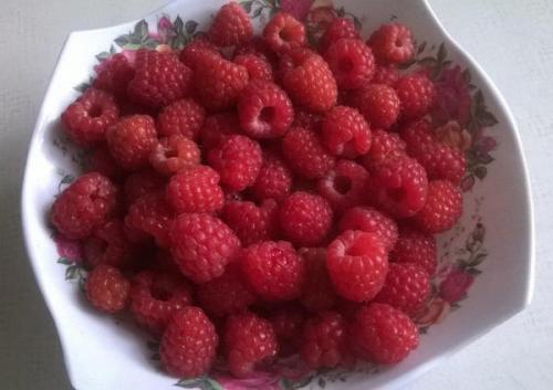 Какие сорта малины считаются самыми вкусными. Обычные сорта малины