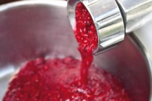 Вкусные сорта малины: лучшие из лучших 05