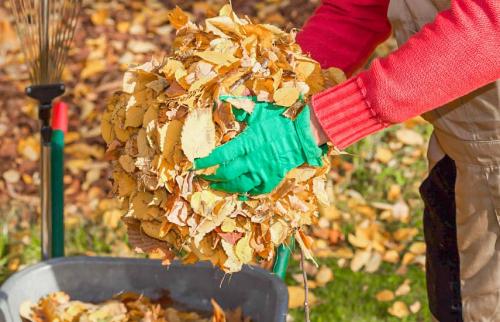Последовательность обработки сада осенью. Осенняя обработка сада: эффективные приемы против болезней и вредителей