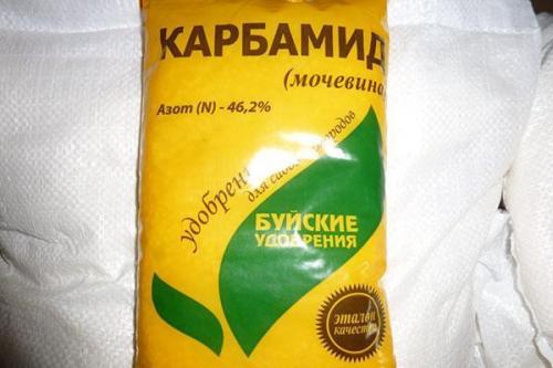 Обработка сада весной медным купоросом и мочевиной. Сроки проведения обработки сада мочевиной с медным купоросом весной