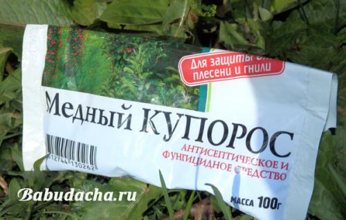 Универсальное средство для опрыскивания плодовых деревьев. Средства: Чем опрыскать сад весной?