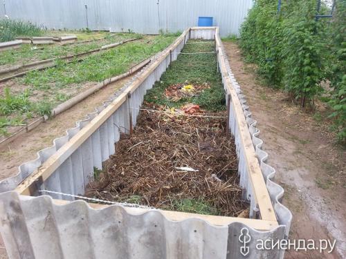 Чем наполнить высокие грядки. 10 советов для высоких грядок