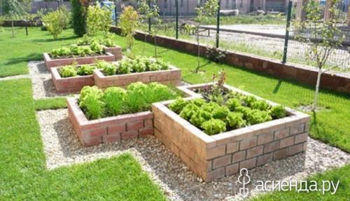 Чем наполнить высокие грядки. 10 советов для высоких грядок