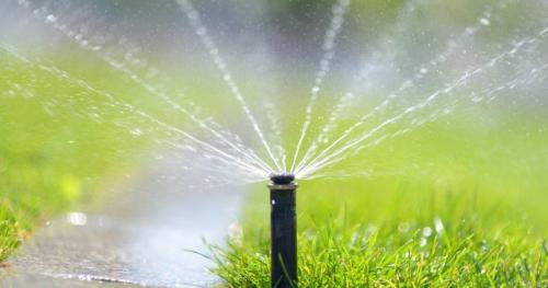 Какие удобрения лучше использовать для восстановления газона. Удобрение газона