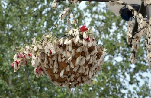 Болезни и вредители сада. Добавление статьи в новую подборку 09