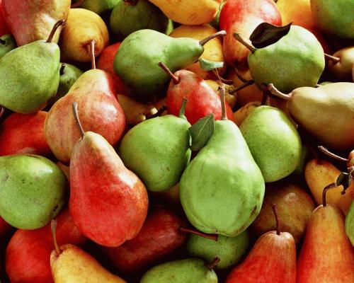 Сорта плодовых деревьев для Краснодарского края. Лучшие сорта груш для Краснодарского края: уход, достоинства и недостатки