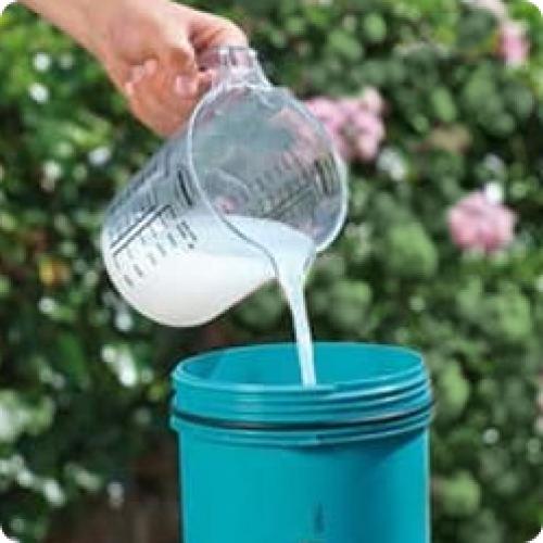 Обработка ягод весной. КАК ОБРАБАТЫВАТЬ КЛУБНИКУ (ЗЕМЛЯНИКУ САДОВУЮ) ВЕСНОЙ ПОСЛЕ ЗИМЫ