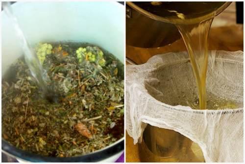 Народные средства от вредителей сада. Народные рецепты против насекомых — вредителей растений