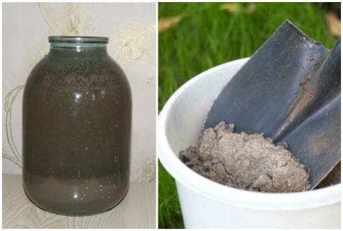 Народные средства от вредителей сада. Народные рецепты против насекомых — вредителей растений