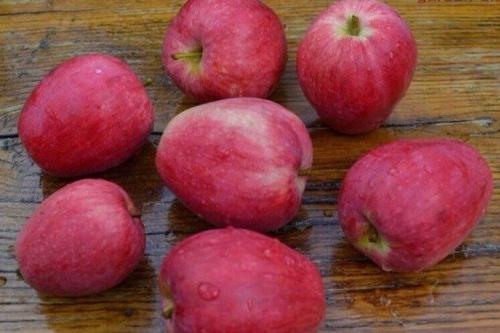 Самые сочные сорта яблок. Лучшие сорта яблок: фото, названия и описания (каталог)