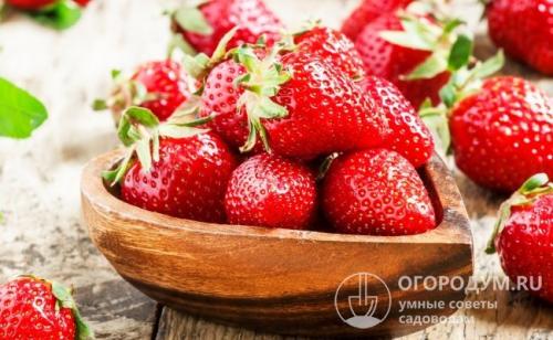 Клубника альбион в горшке. Ягоды