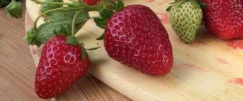 Ремонтантная клубника альбион выращивание и уход. Описание сорта