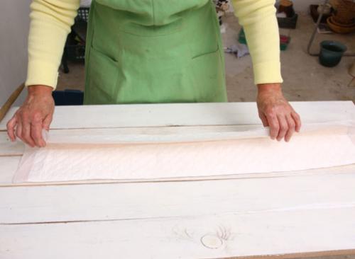 Как черенковать тую зимой. Зимнее черенкование хвойных: мастер-класс от Ирины Поповой, опытного садовода-дачника