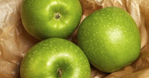 Самые сладкие зимние сорта яблок. Всё про зимние сорта яблок