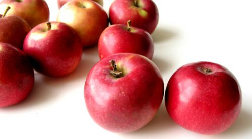 Летний сорт яблок сладкие. Общая характеристика 23