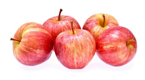 Летний сорт яблок сладкие. Общая характеристика 25