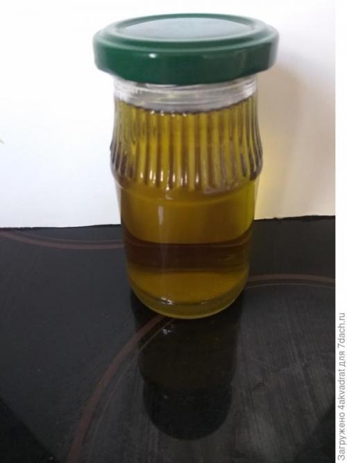 Медян экстра для хвойных, как разводить. Рассада плохо растет, болеет? А давайте позовем на помощь елочку