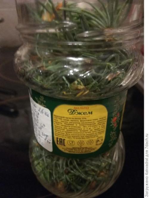 Медян экстра для хвойных, как разводить. Рассада плохо растет, болеет? А давайте позовем на помощь елочку