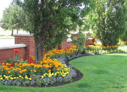 Композиции в саду своими руками из цветов. Какие растения выбрать 11